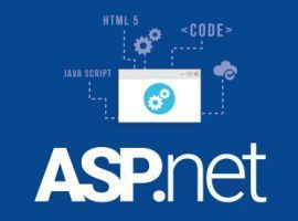Asp.Net