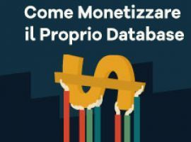 Come Monetizzare il Proprio Database