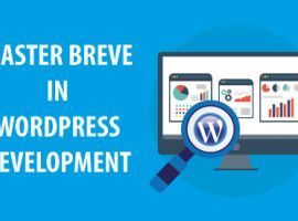Master Breve in Wordpress Development
