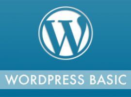 Wordpress Basic