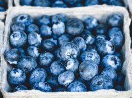 HACCP per addetti alla manipolazione di alimenti