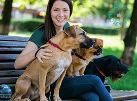 CORSO PET SITTER SOVVENZIONATO FINO AL 70%