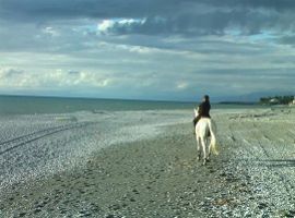 CORSI DI EQUITAZIONE - Primi salti e passeggiate sulla spiaggia