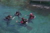 BOSA DIVING CENTER