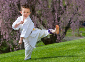 Judo Palazzetto Le Cupole Via Artom 111 Torino / Nichelino