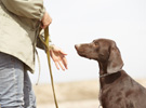 Corso di seminario pet therapy