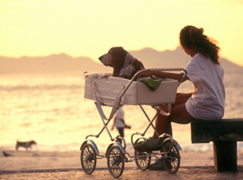 Corso pet sitter 100% online in tutta Italia